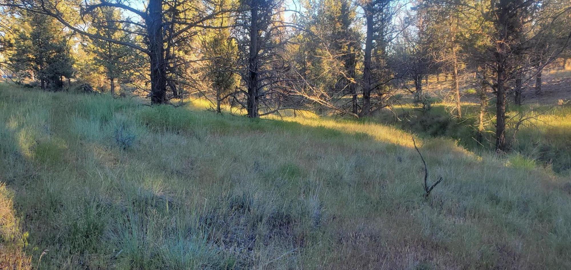 Golden Horseshoe - Land