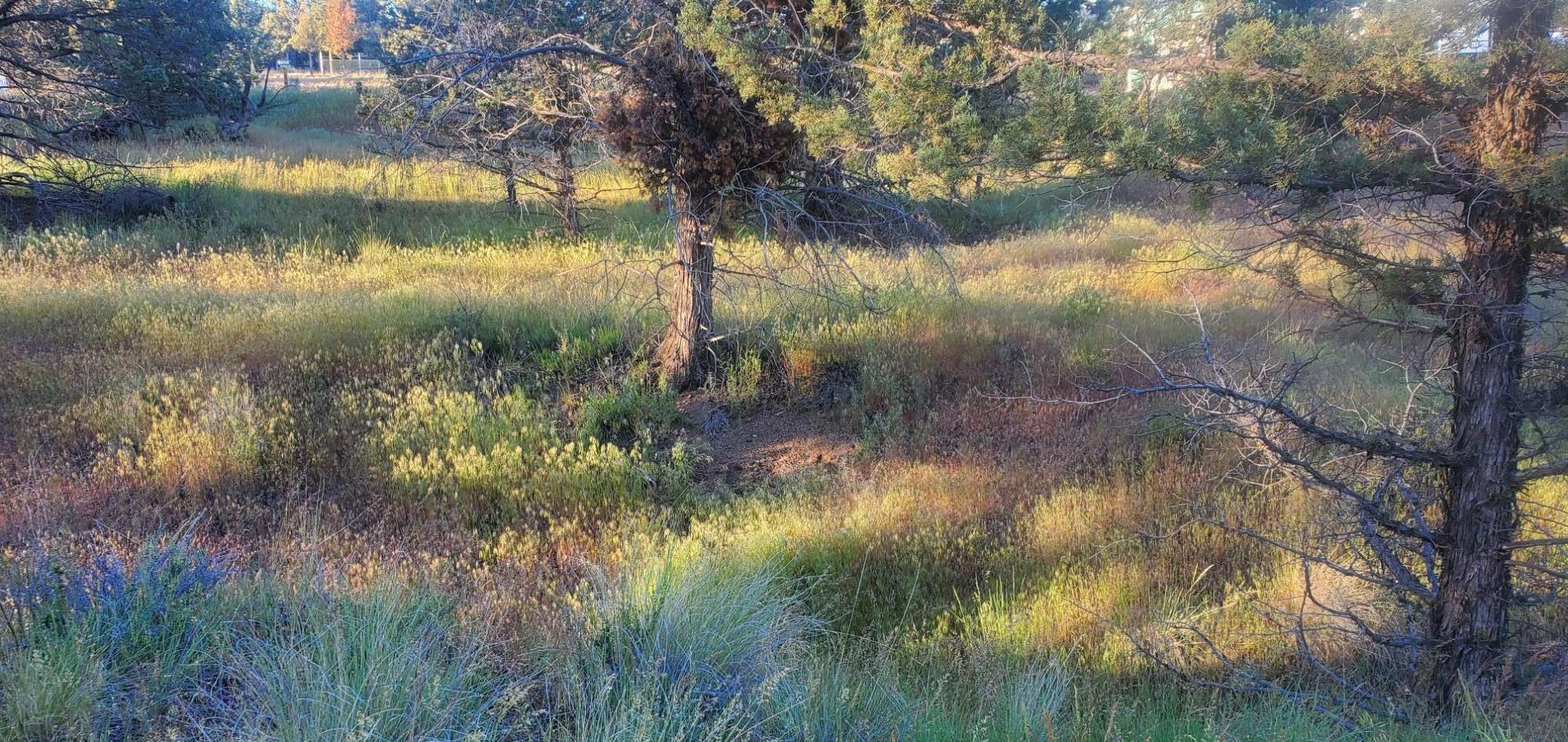 Golden Horseshoe - Land