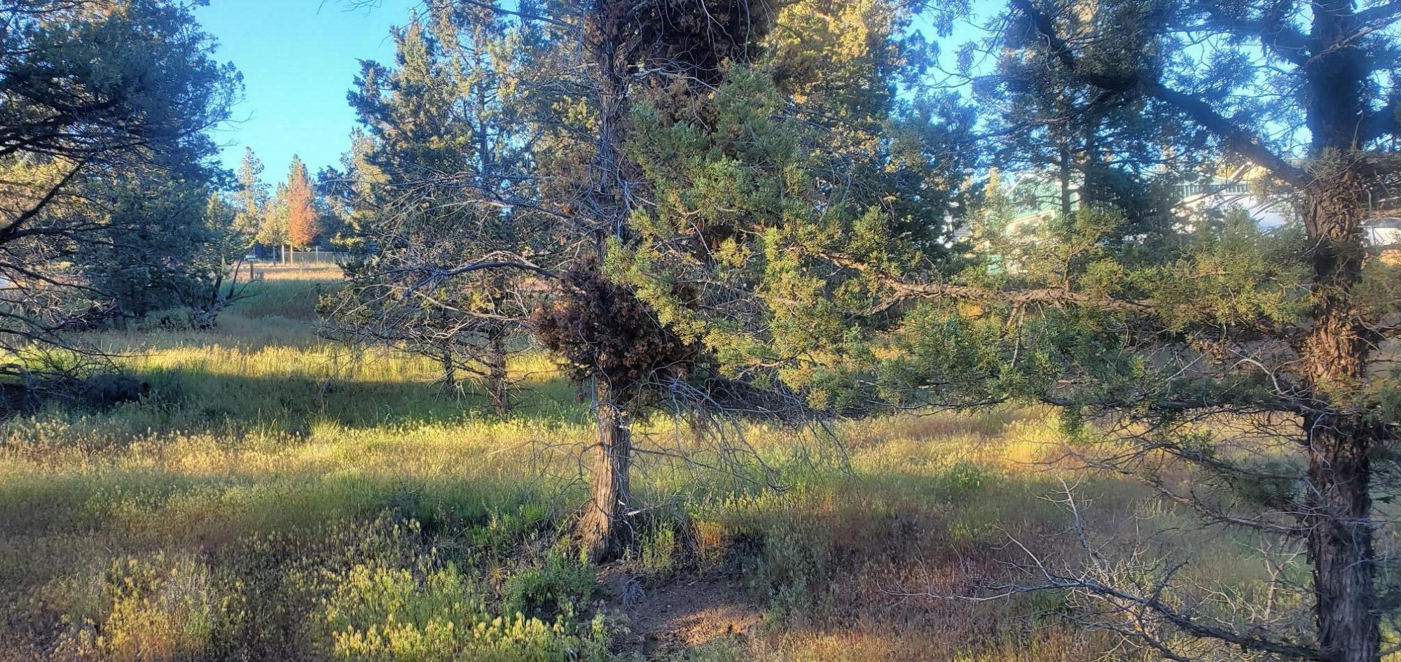 Golden Horseshoe - Land