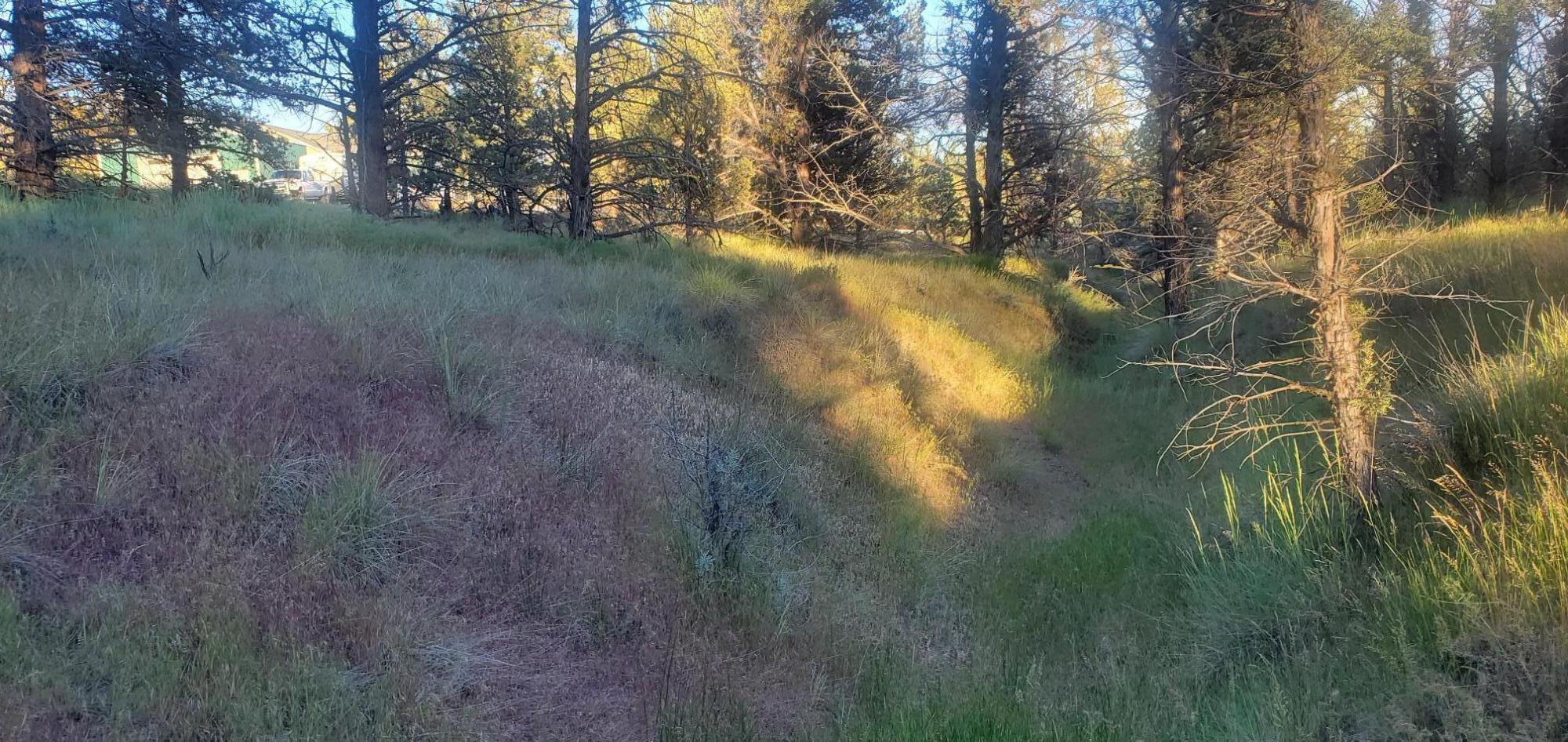 Golden Horseshoe - Land