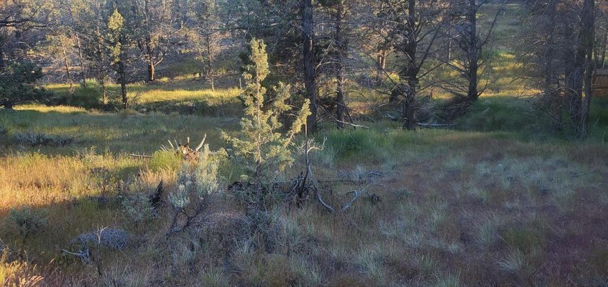 Very nice large lot in desirable Ochoco West Subdivision. Nicely treed and fairly flat. Has had septic feasibility study completed for ATT system. Water is available at street with hook up fee. Enjoy all the amenities that the association has to offer such as access to hundreds of acres of BLM, swimming pool, shooting range, stables, and more. Could this be the parcel of land you have been waiting for to build your dream home?