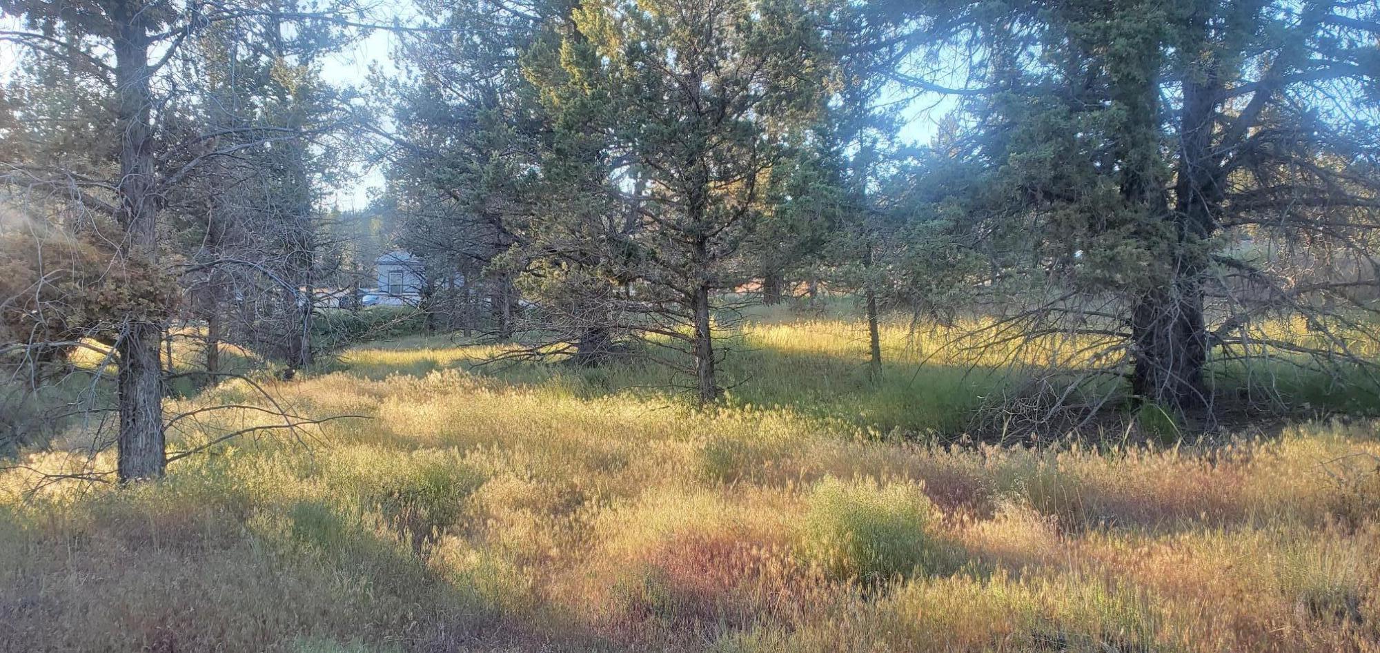 Golden Horseshoe - Land