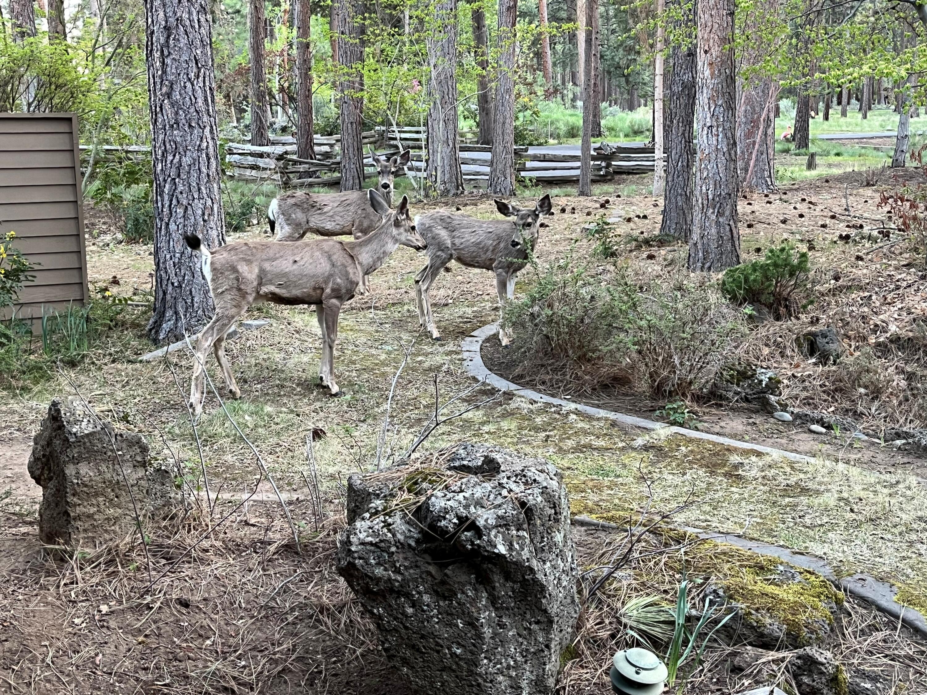 Sunrise Village - Residential