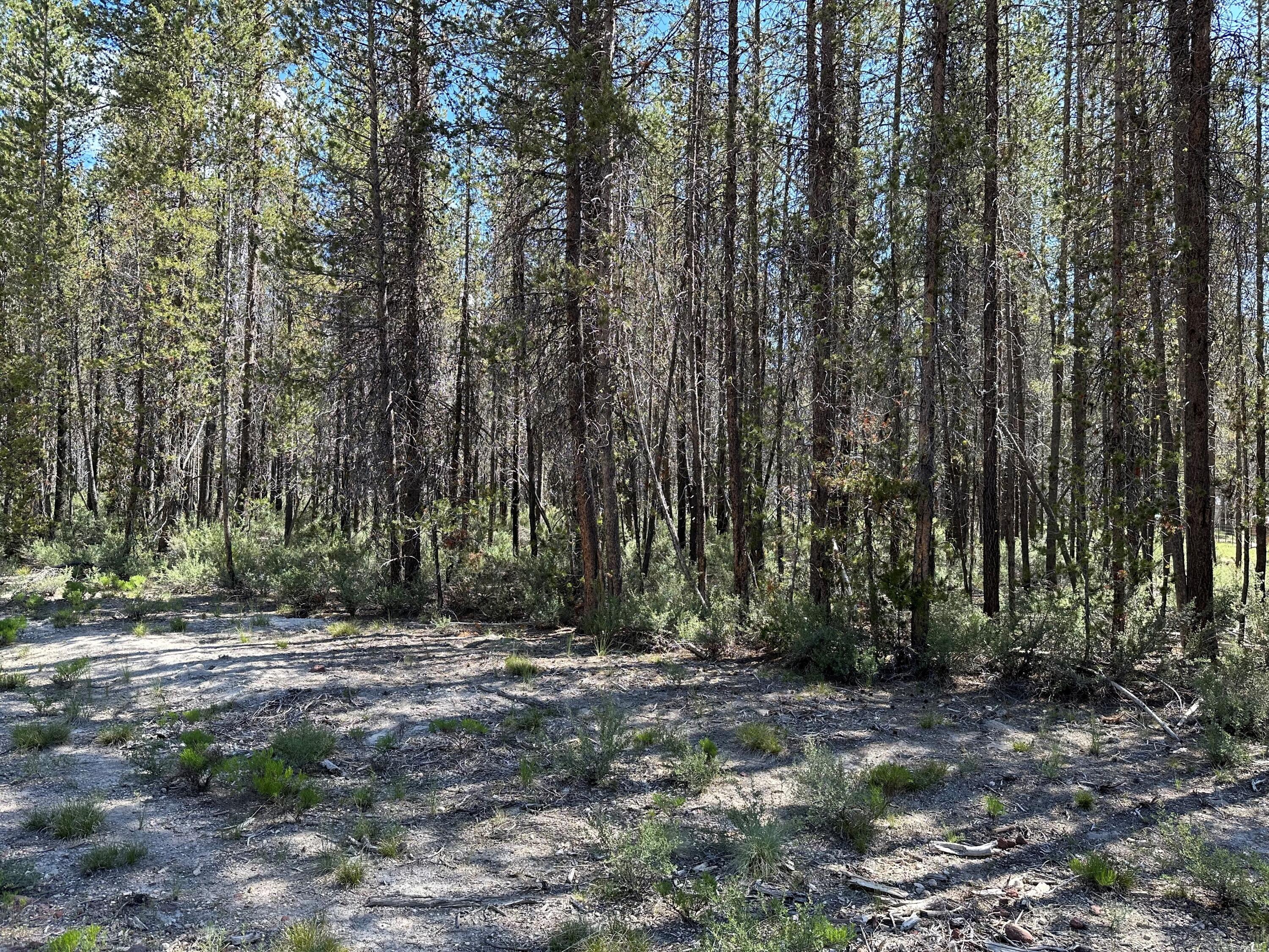 Mt. Scott Meadow - Land