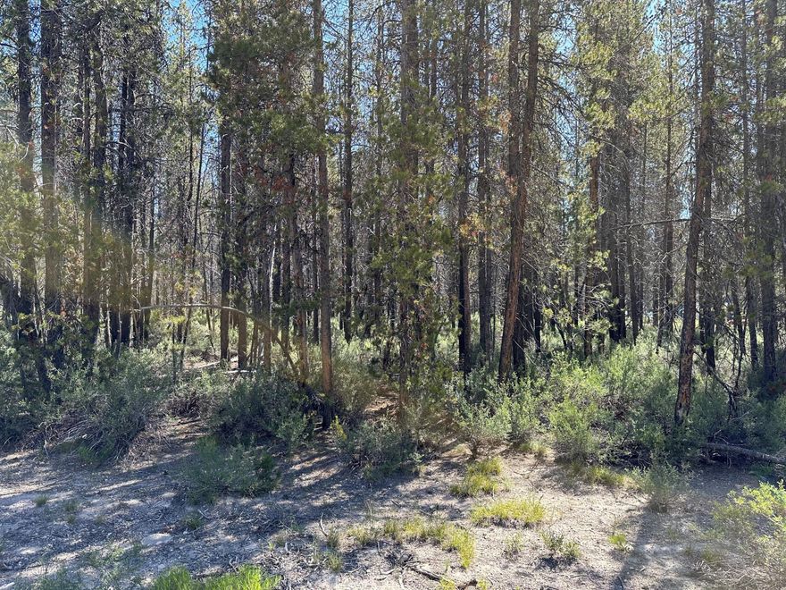 Almost 1 acre of level, wooded land to build your dream home. Property is conveniently located close to many recreational activities; power is available at the street.