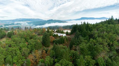 Photo of 5290 Goodrich Highway, Oakland, OR 97462 (MLS # 220211932)