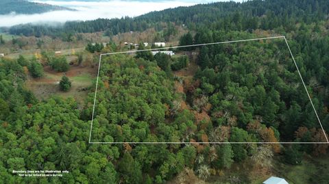 Tiny photo for 5290 Goodrich Highway, Oakland, OR 97462 (MLS # 220211932)