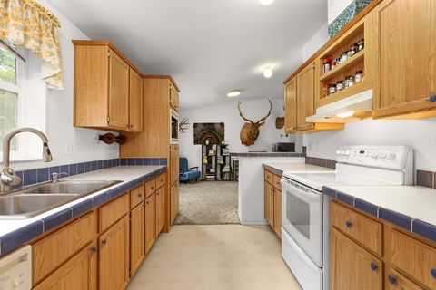 Tiny photo for 5290 Goodrich Highway, Oakland, OR 97462 (MLS # 220211932)