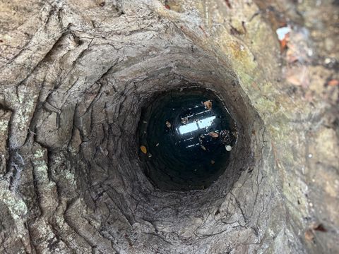 Tiny photo for 415 E C Street, Jacksonville, OR 97530 (MLS # 220211954)