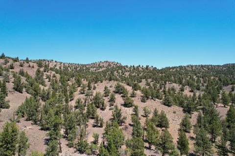 Featured picture for the property 220202782