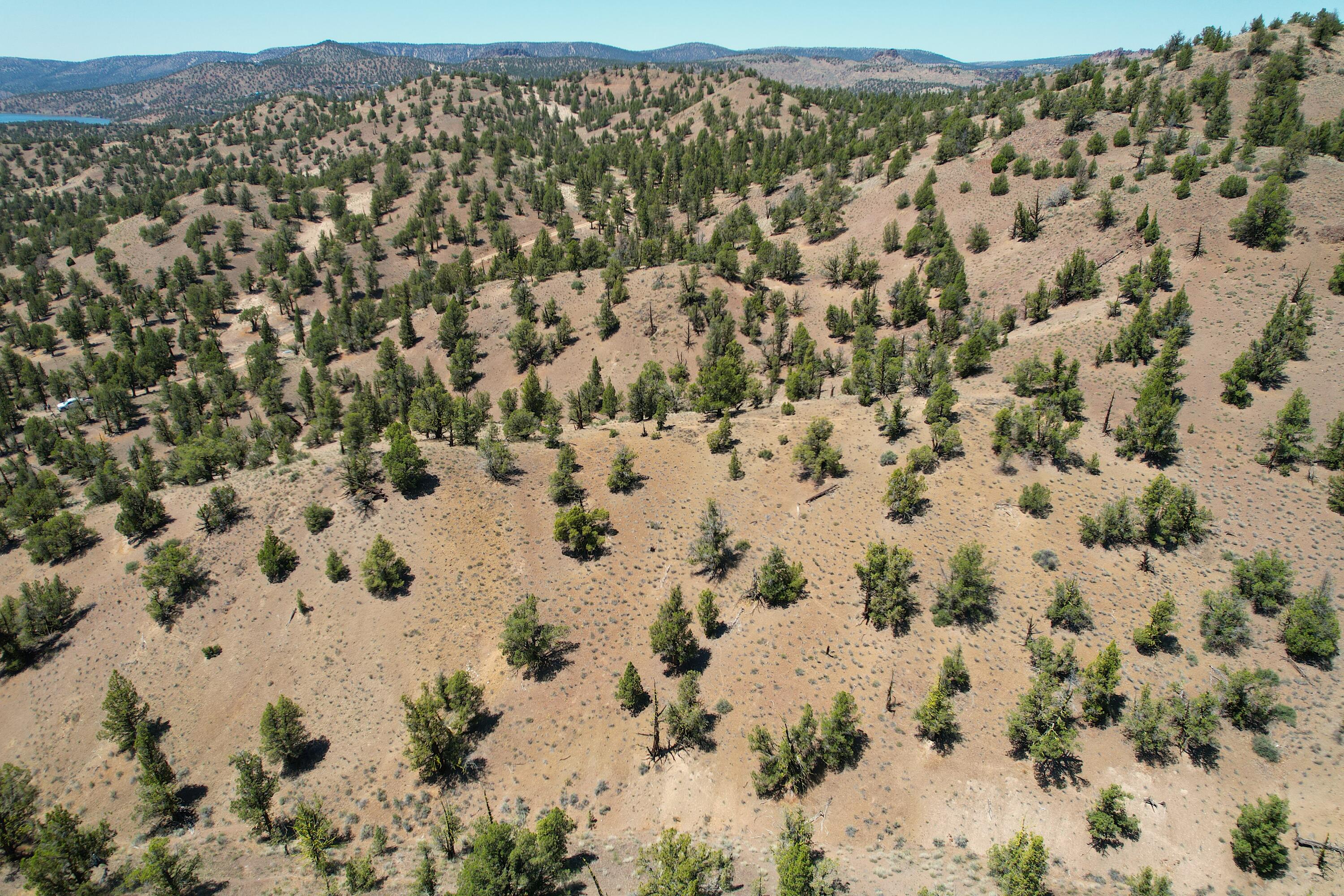 0000 SE TBD Doubtful Dirt Road