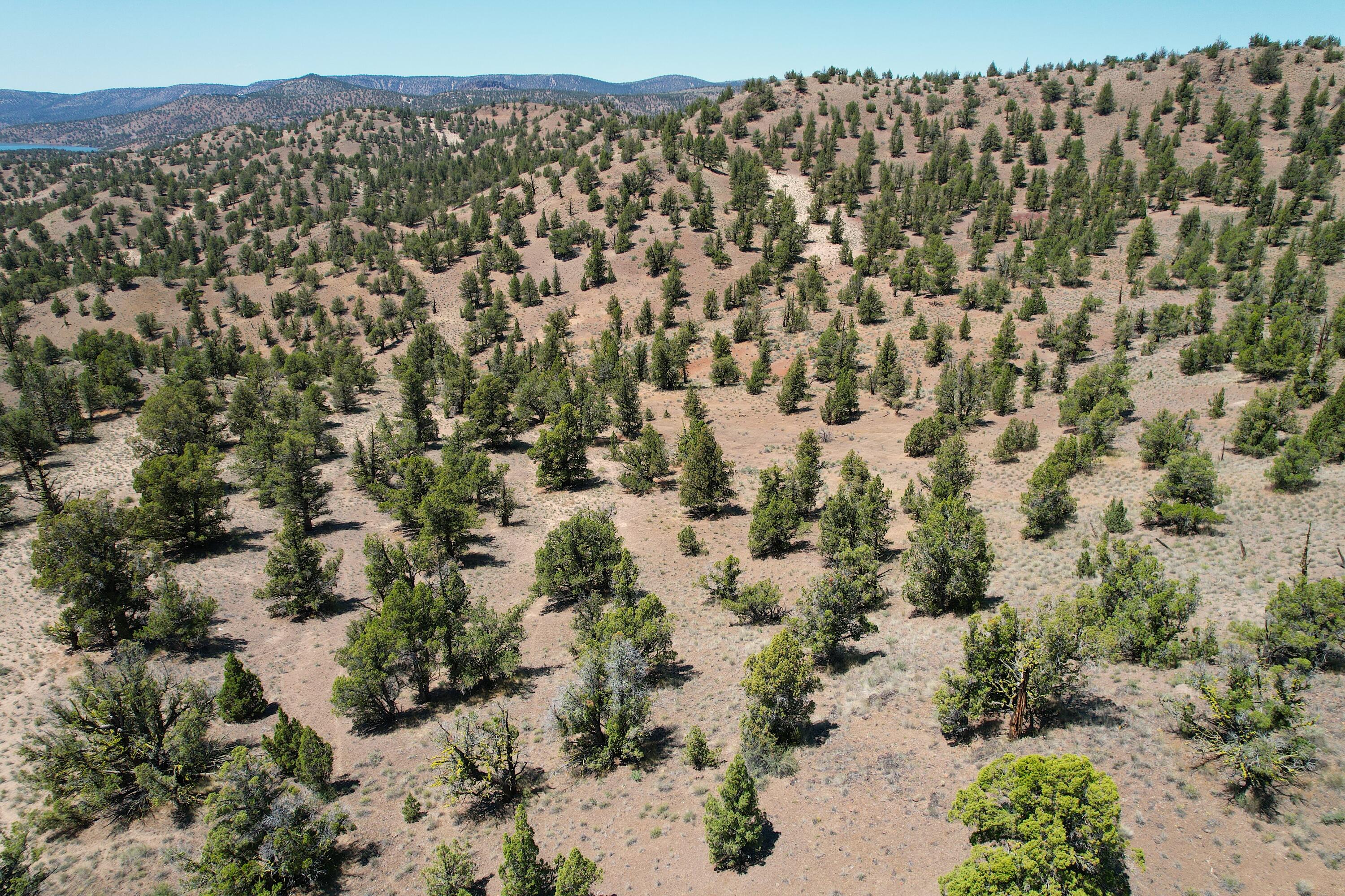 0000 SE TBD Doubtful Dirt Road