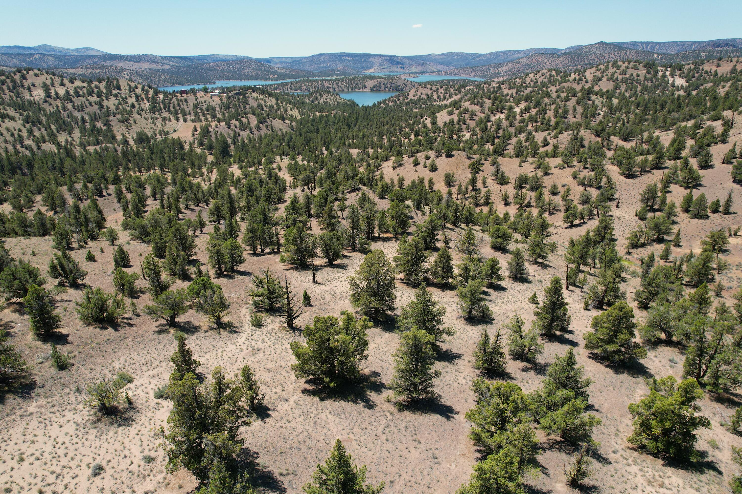 0000 SE TBD Doubtful Dirt Road