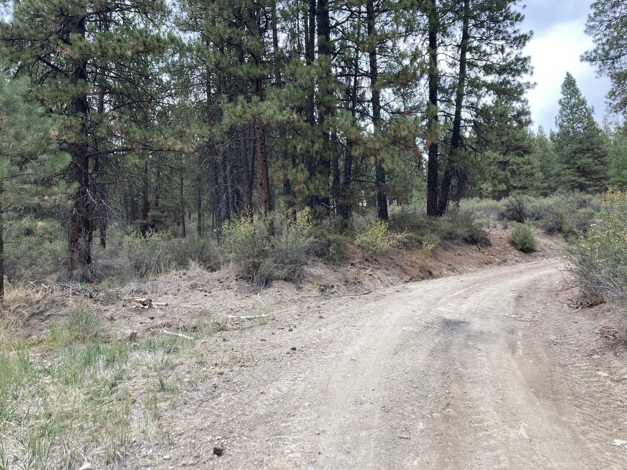 Chiloquin Heights - Land