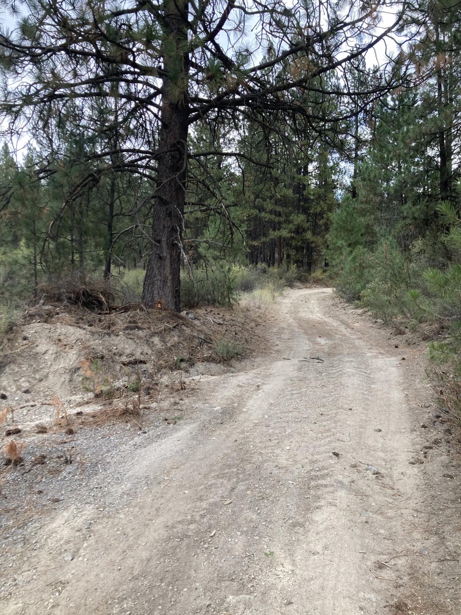 Chiloquin Heights - Land