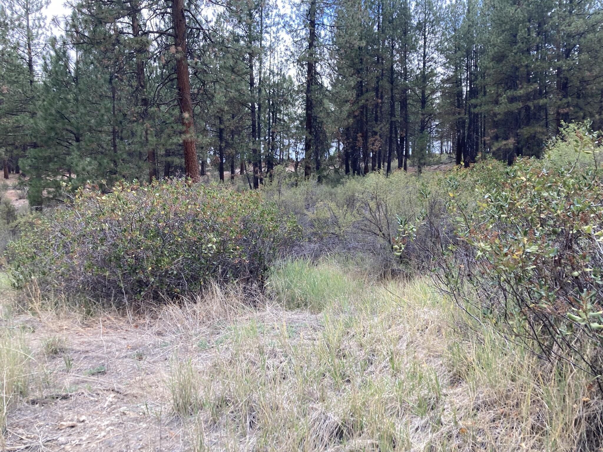 Chiloquin Heights - Land