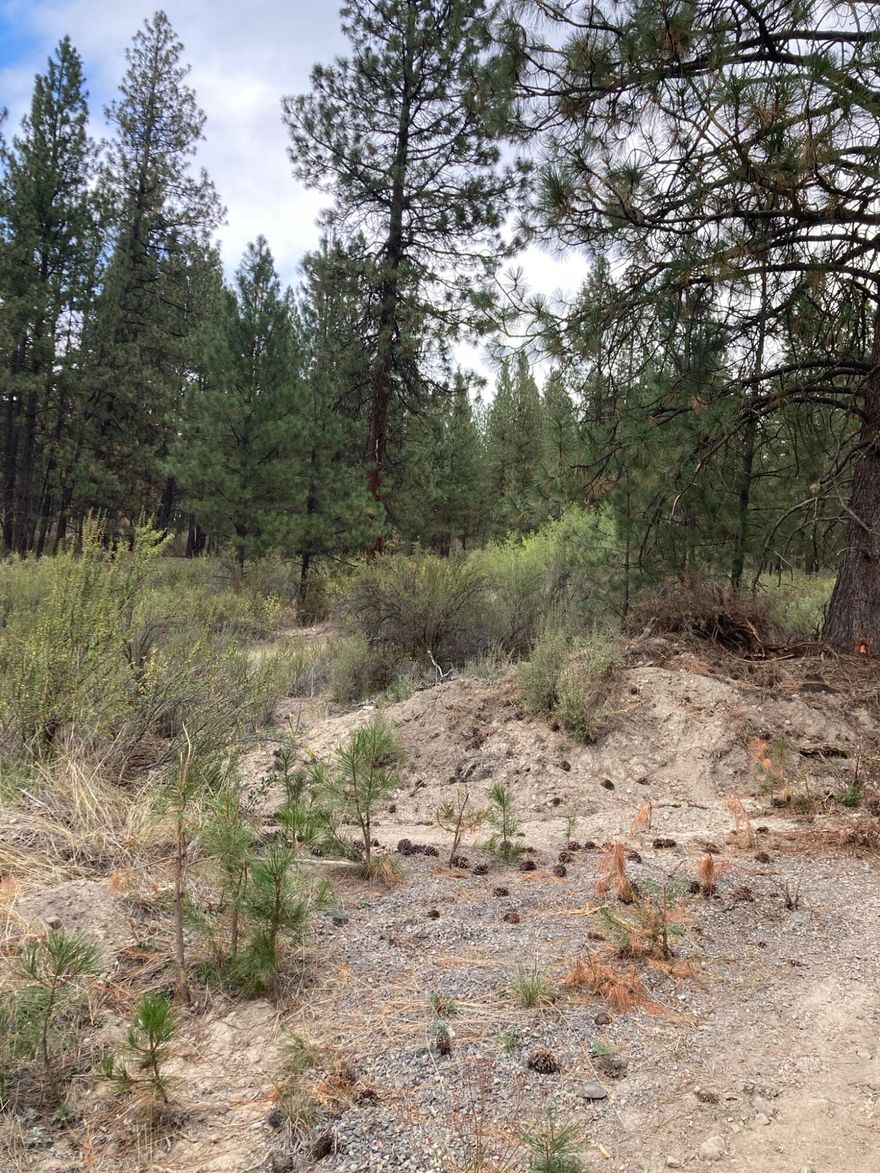 This property includes 5 residential lots in the city of Chiloquin.  Water & Sewer available from the city but not currently connected. Property is close to community center, library, shops and post office. Buyer to perform their own Due Diligence.