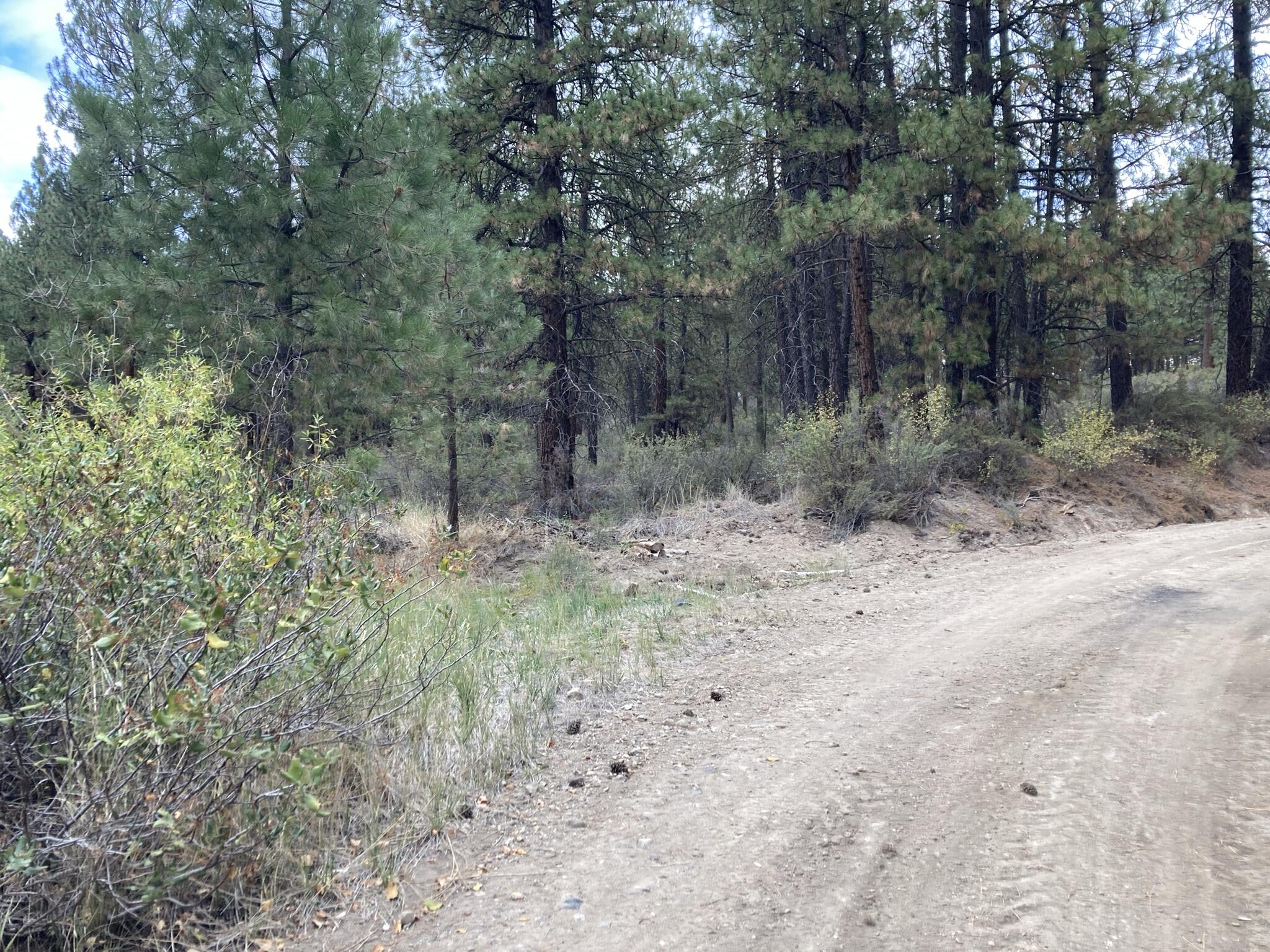 Chiloquin Heights - Land