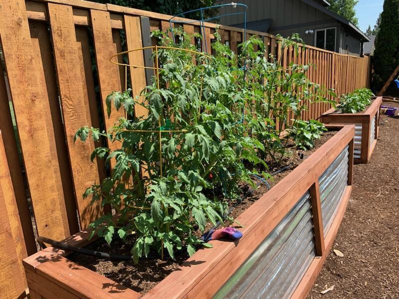 Sterling Pointe - Residential