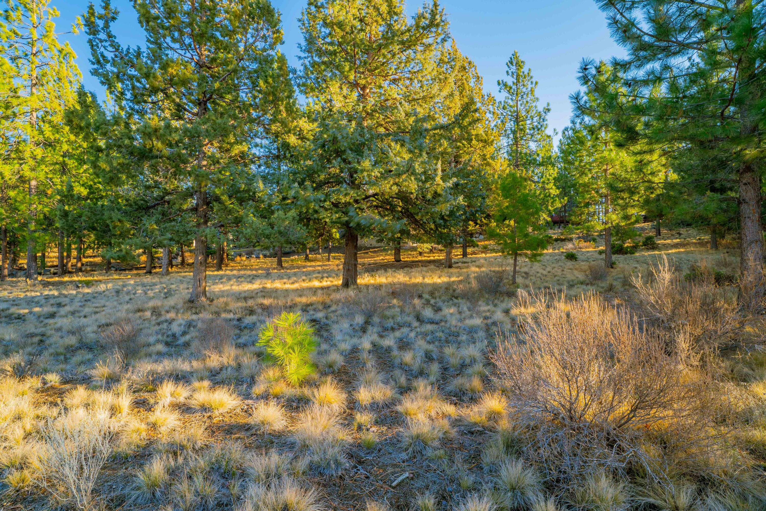 Parks At Broken Top - Land