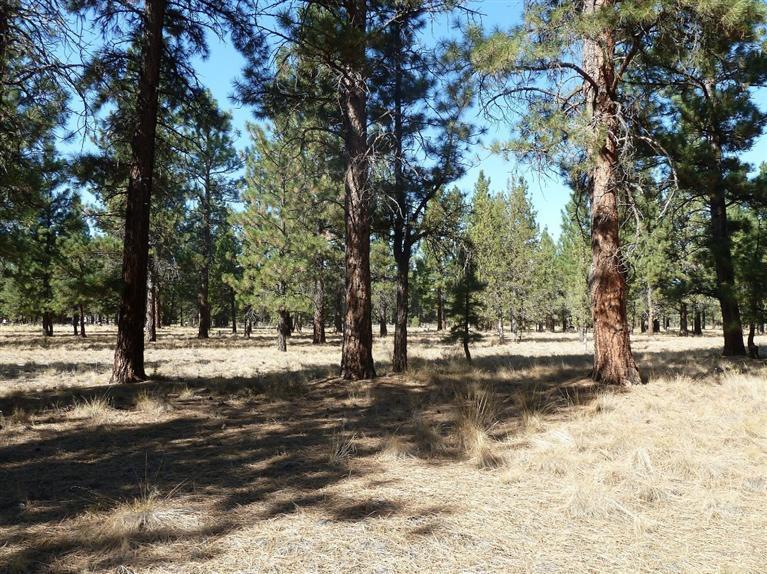 Indian Ford Meadows - Land