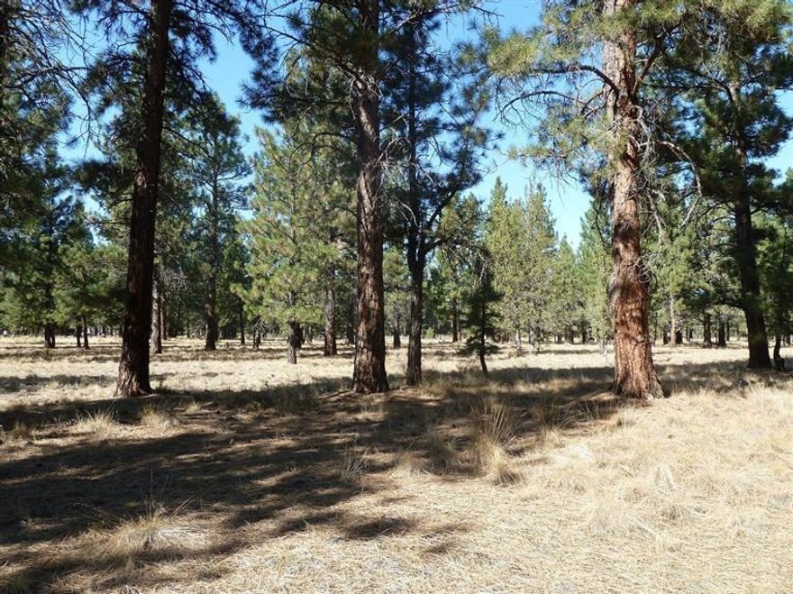Beautiful level building site on 5 acres very close to town. All utilities in place including electricity, private well and septic. Large Ponderosa Pines and long paved driveway with turnaround. Horses allowed. Nice 1024 sq. ft. barn with loft. Perfect setting to build your dream house.
