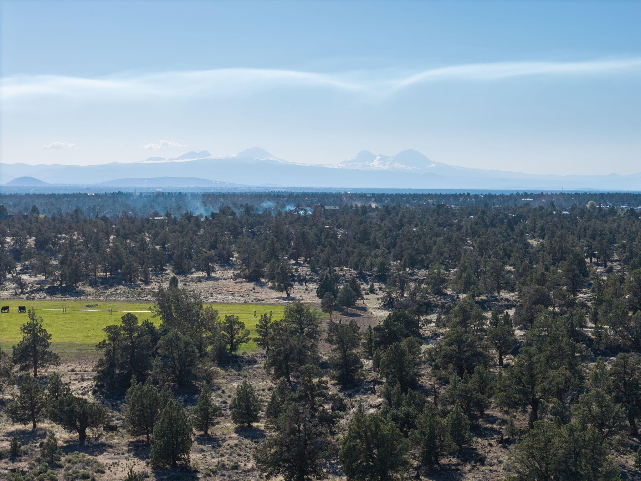 25606 Alfalfa Market Road