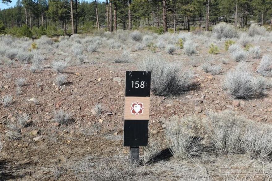 Backing to the western border of Tetherow, this home features terrain and forested mountain views. This location provides direct access for hiking and biking in national forest but yet is located close enough to walk to the clubhouse and amenities. A flat lot with plenty of options to build your dream home.
