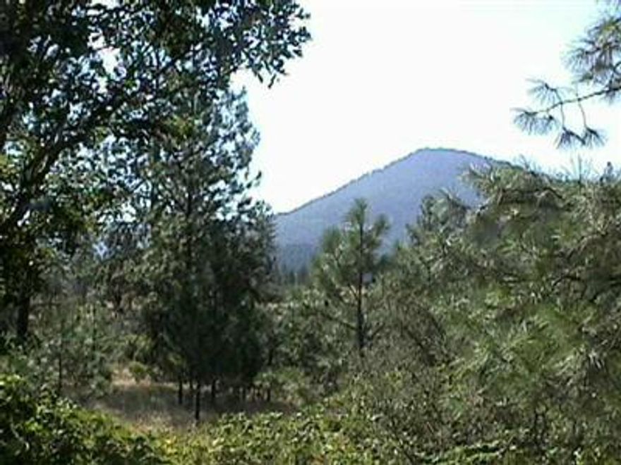 Tax Lot 416 Is Also Available For A 2 Family Setup. Omc To A Credit Worthy Buyer. Backed By Blm.