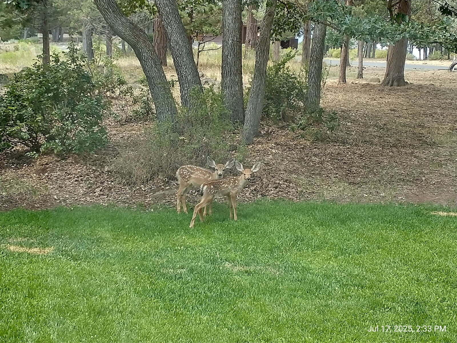 Running YResort - Residential