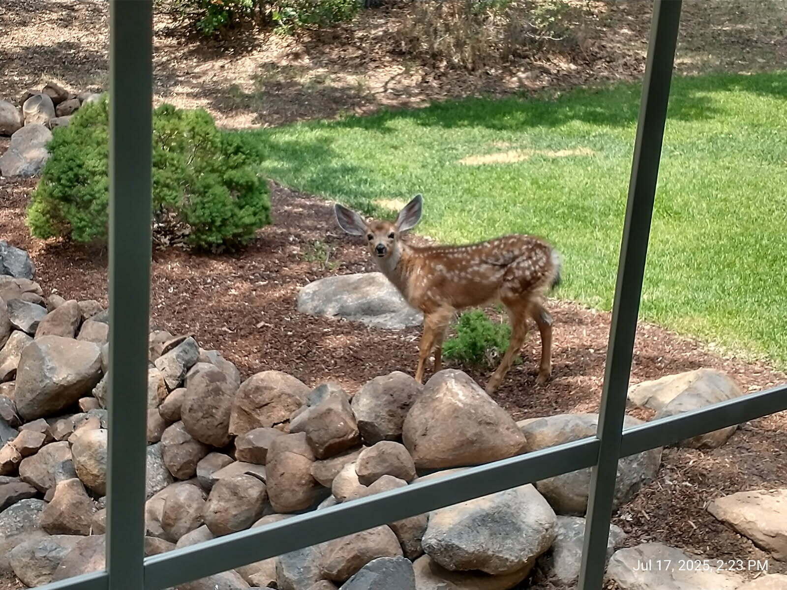 Running YResort - Residential