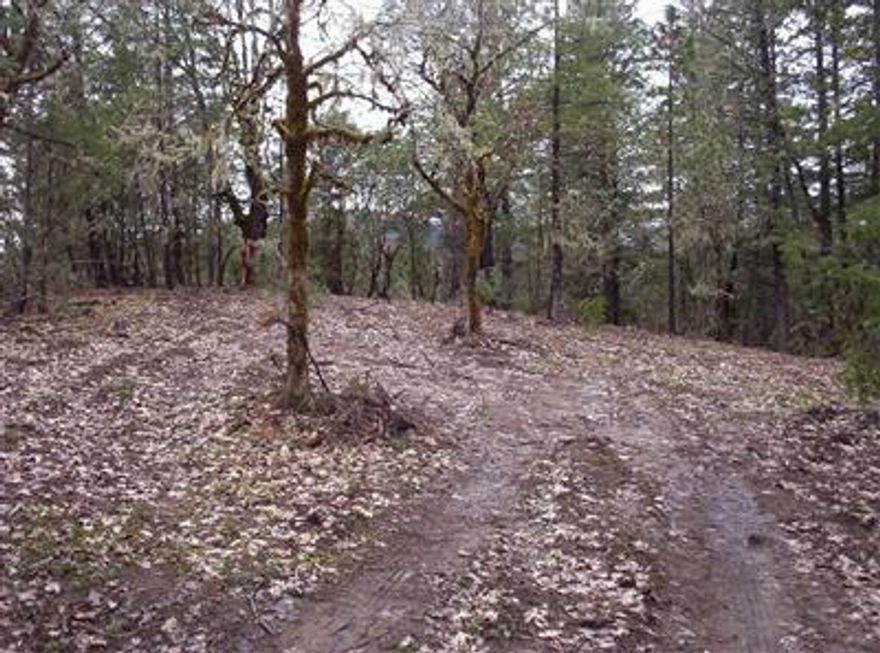 Awesome usable 5 acre wooded building site, rolling to level, some views. Located across Robertson Bridge Road from Pleasantville and area of nice homes. Standard septic approval. 40 GPM well per owner.