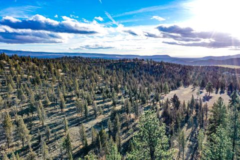 Tiny photo for 5907 NE Timber Lane, Prineville, OR 97754 (MLS # 220213058)