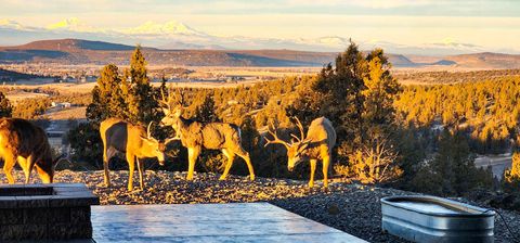 Tiny photo for 5907 NE Timber Lane, Prineville, OR 97754 (MLS # 220213058)