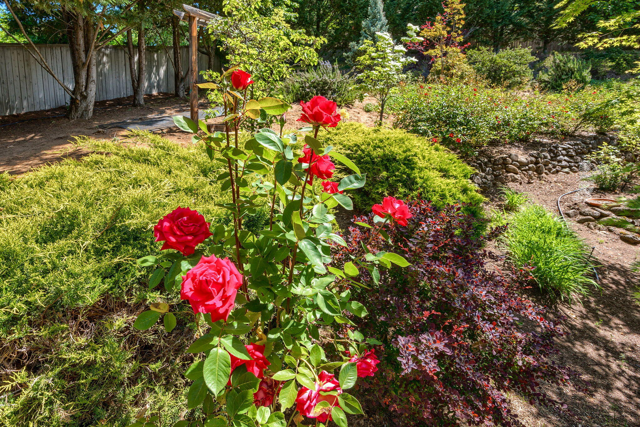 Eastfield Subdivision - Residential