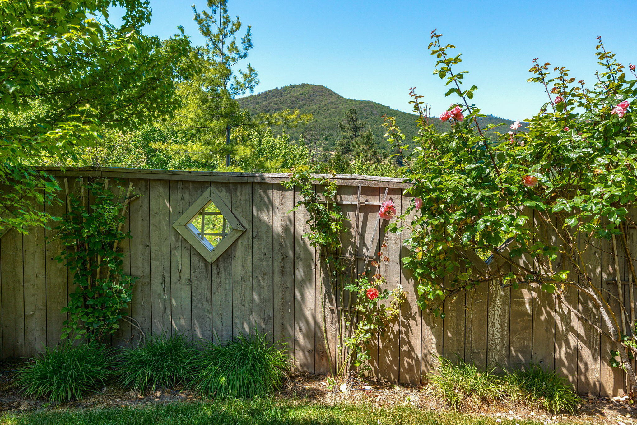 Eastfield Subdivision - Residential