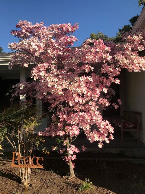 Tiny photo for 820 E Pebble Beach Drive, Ashland, OR 97520 (MLS # 220220038)