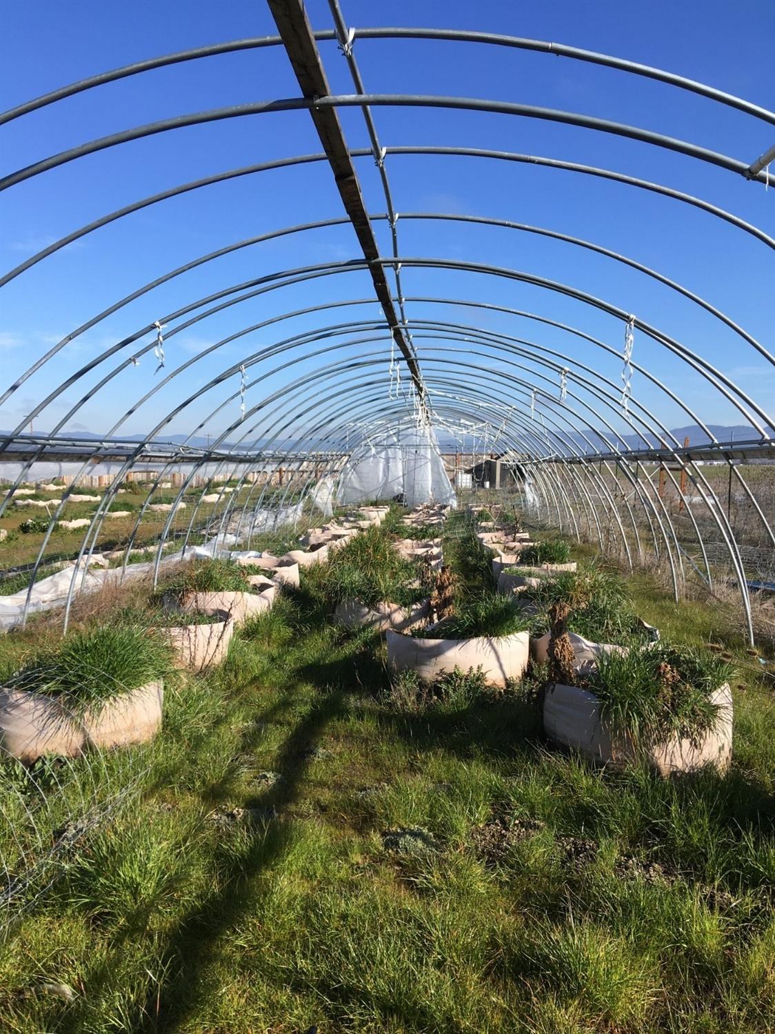 Dry Creek Airpark - Land