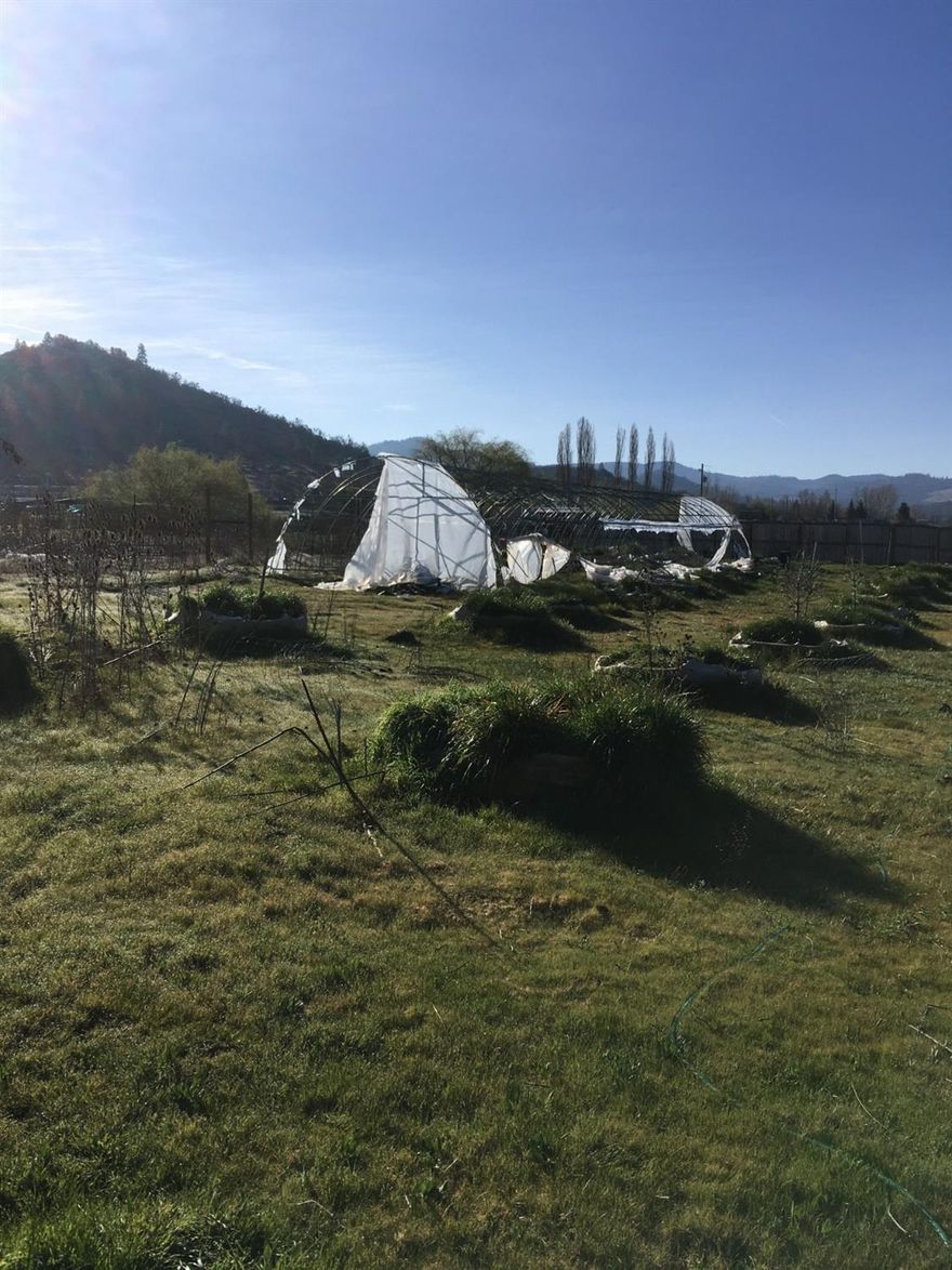 Must honor the current rental lease which ends 12/31/20. Property is currently occupied. Please do not visit without prior permission from occupant. Farm available for sale has 96 smart pots with soil just needs soil amendments. 48 100 gallon smart-pots are inside a 100' long light dep greenhouse and 48 400 gallon smart-pots are outside in the sun. Appropriate zoning for medical, recreational cannabis, or hemp. (EFU) The whole area is surrounded on 3 sides by a non-see-through 8' wooden fence and then a barbed wire fence along the back wall facing away from the street. Artesian Well on property has a 100 gallon per minute potential capacity with a 10 gpm pump. Water Rights approved. Full-sized lockable 40-foot shipping container with optional ventilation ports within fenced area as well. Currently working with PP&L to get electrical service. Farm is 9 minutes from Coastal store on Crater Lake Hwy. Outright sale for $250,000 or possible short-term owner carry with reasonable interest.