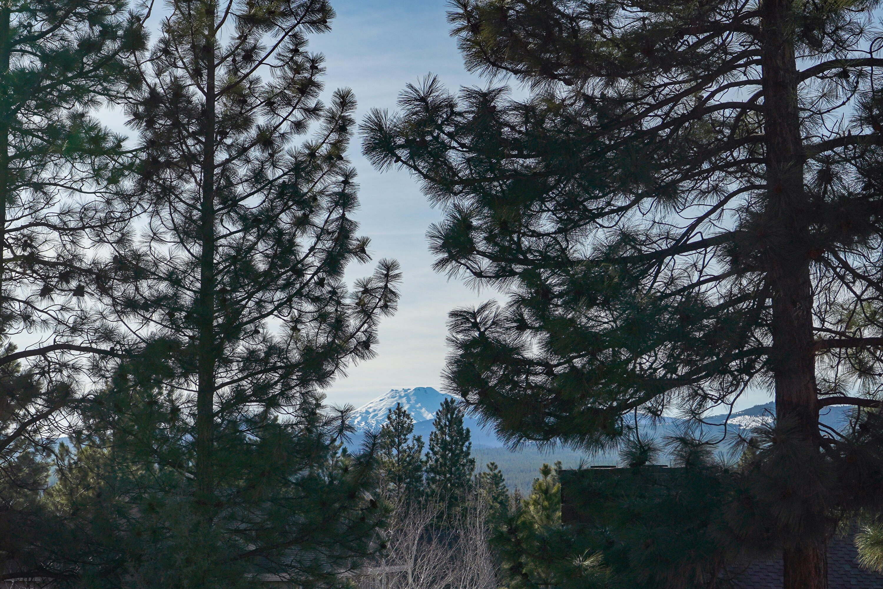 Renaissance@Shevlin - Residential