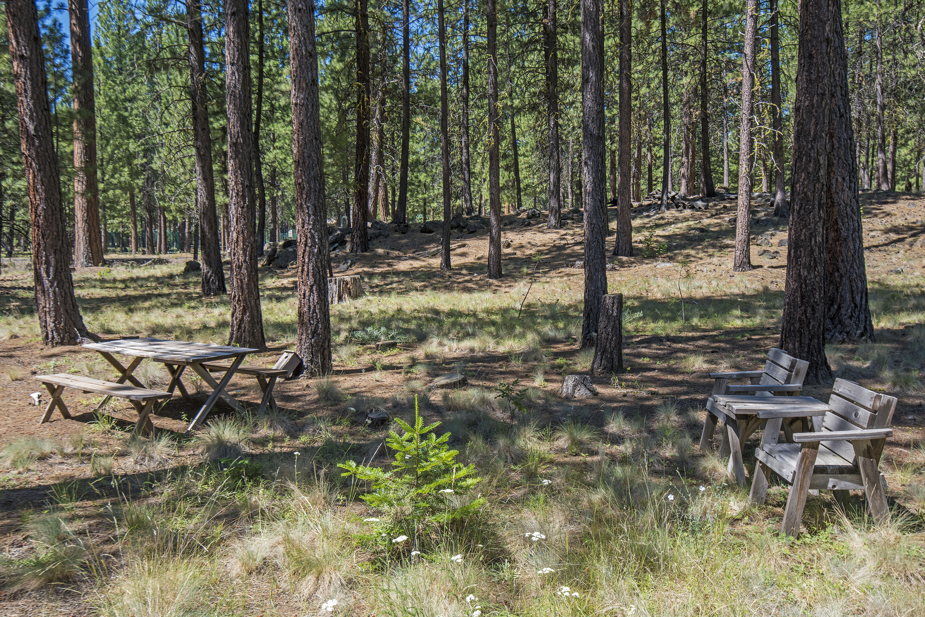 Black Butte Ranch - Residential