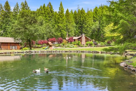 Photo of 985 Elliott Creek Road, Wilderville, OR 97543 (MLS # 220221694)