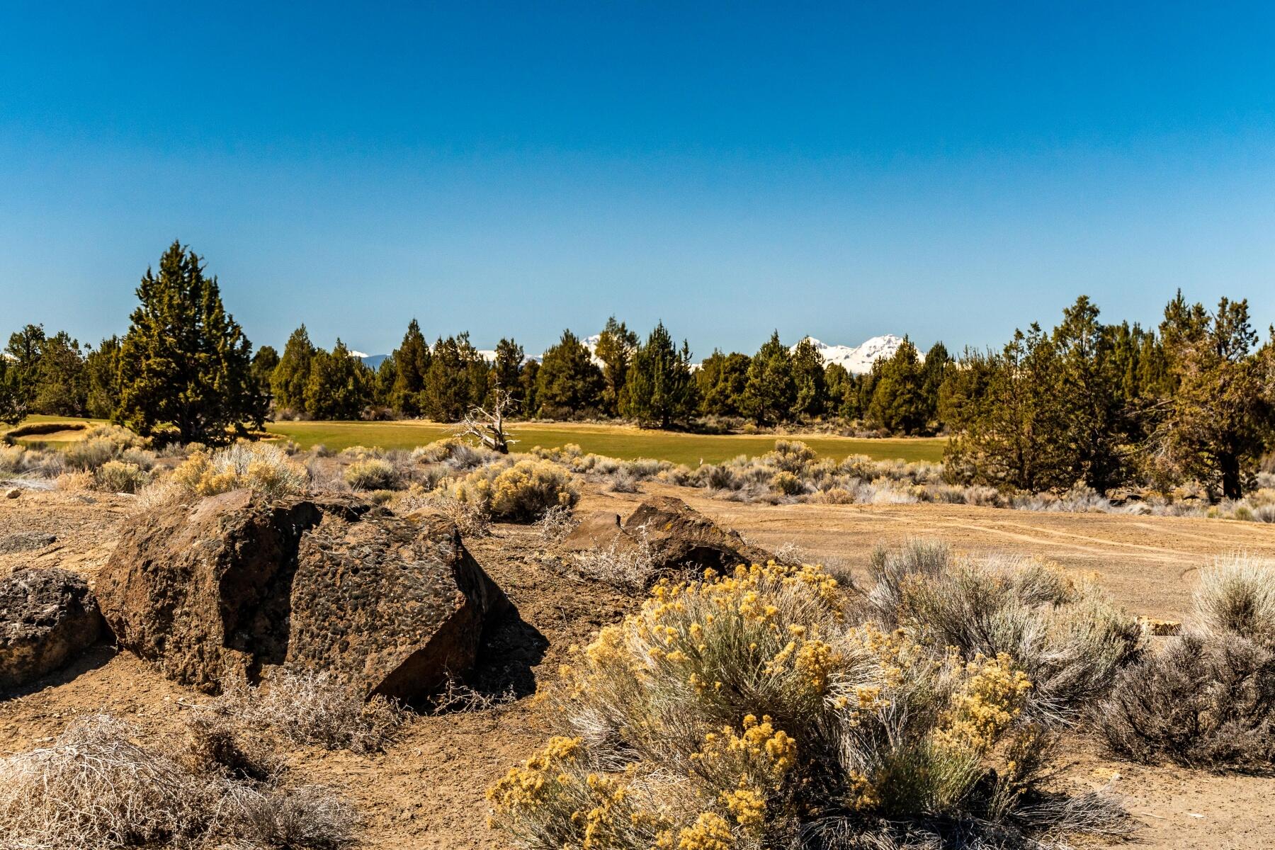65777 Sanctuary Drive Lot 279