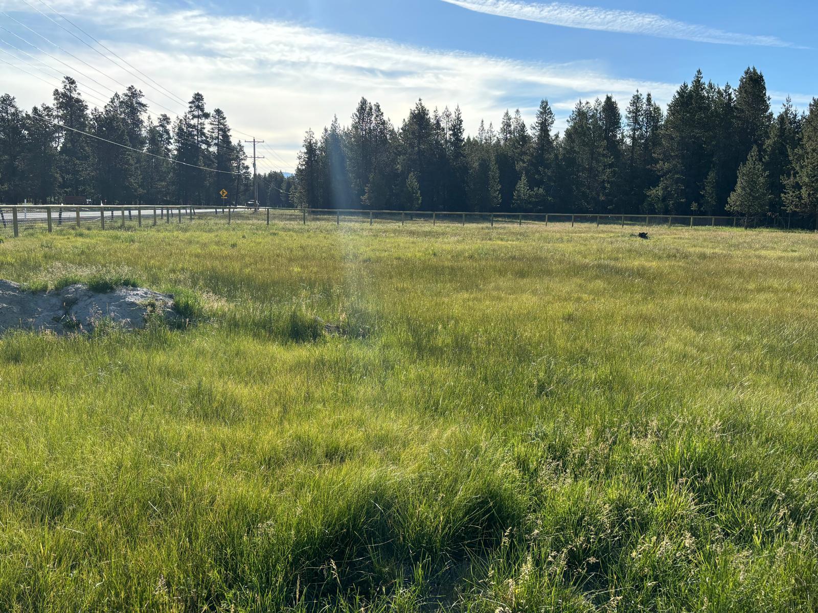 Lazy River West - Land