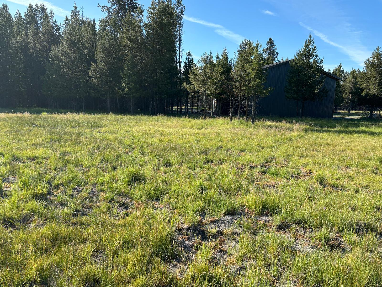 Lazy River West - Land