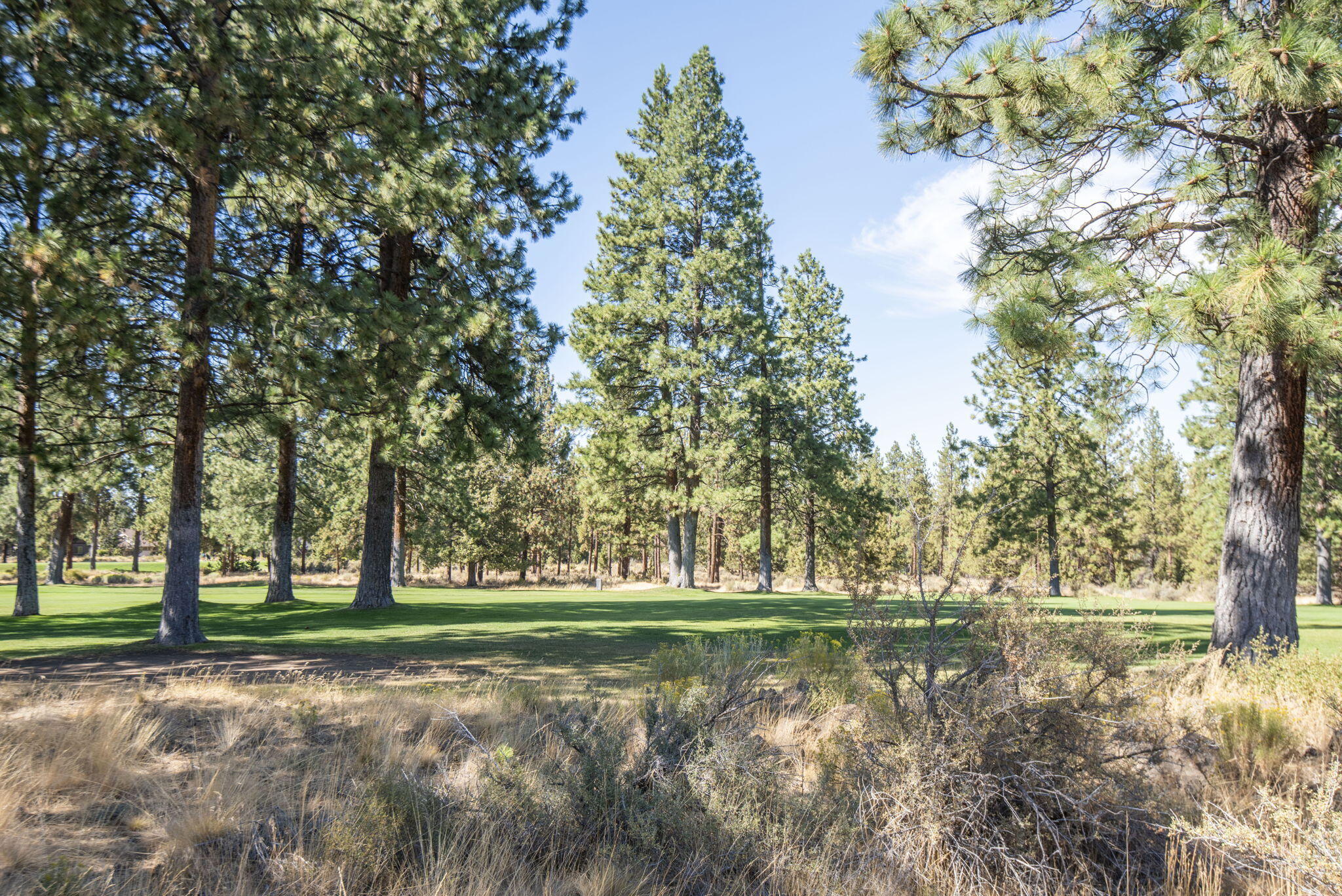 Stonegate - Residential