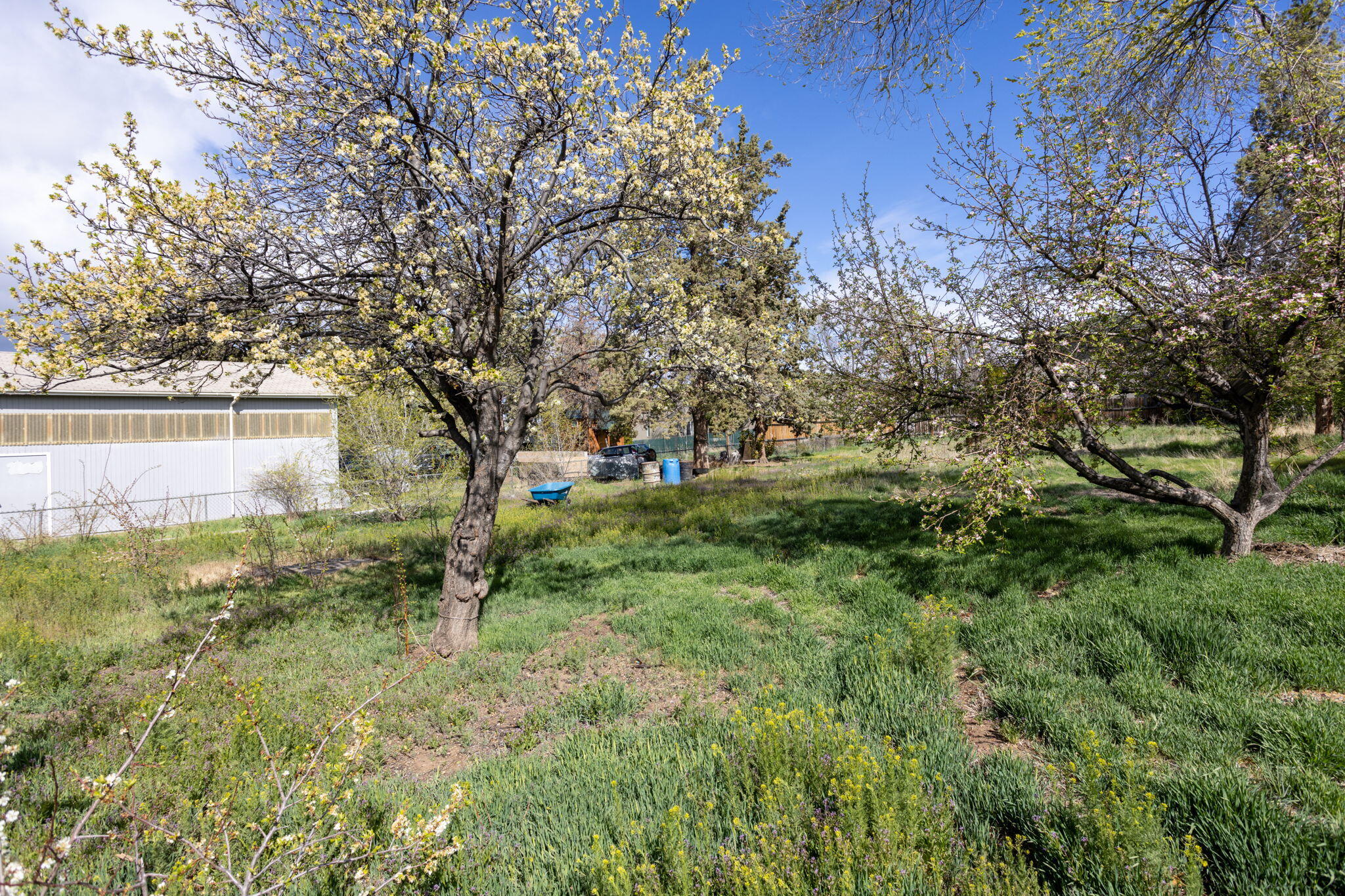 South Moreland Acres - Residential