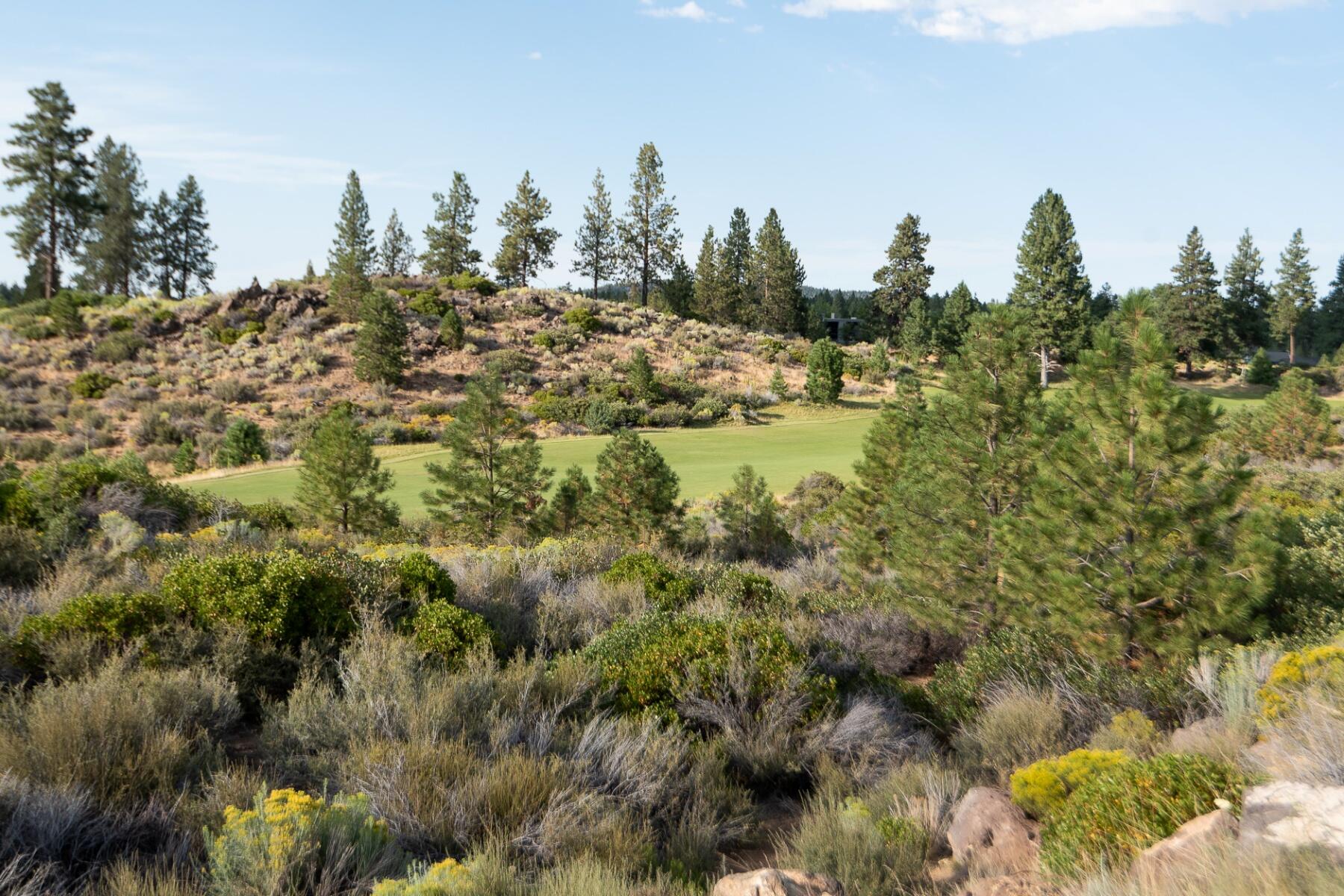 Tetherow - Residential