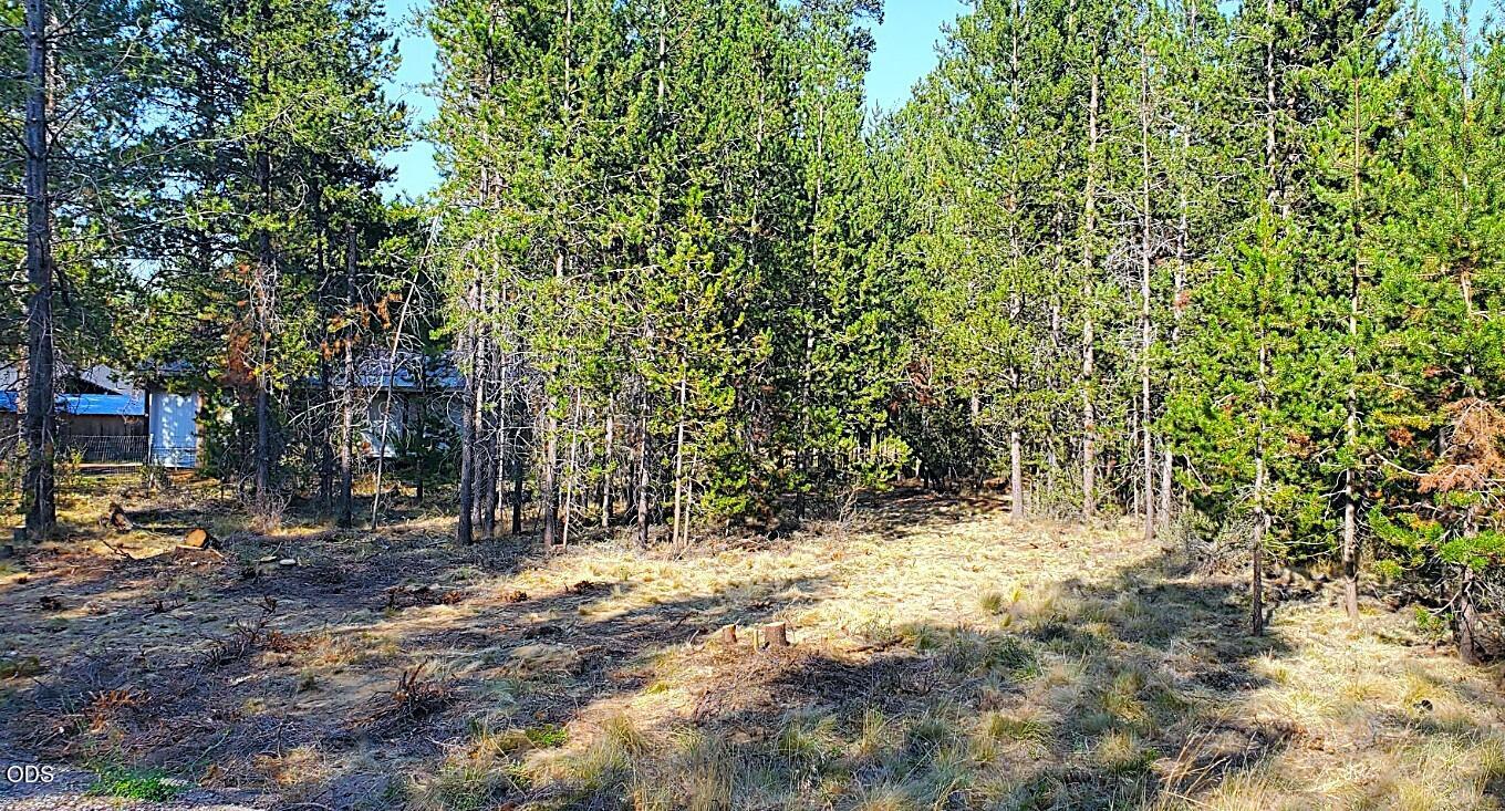 55618 Snow Goose Road
