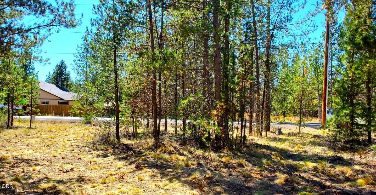55618 Snow Goose Road